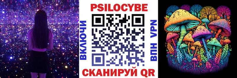 Купить где  Кирово-Чепецк  Галлюциногенные грибы MAGIC MUSHROOMS 